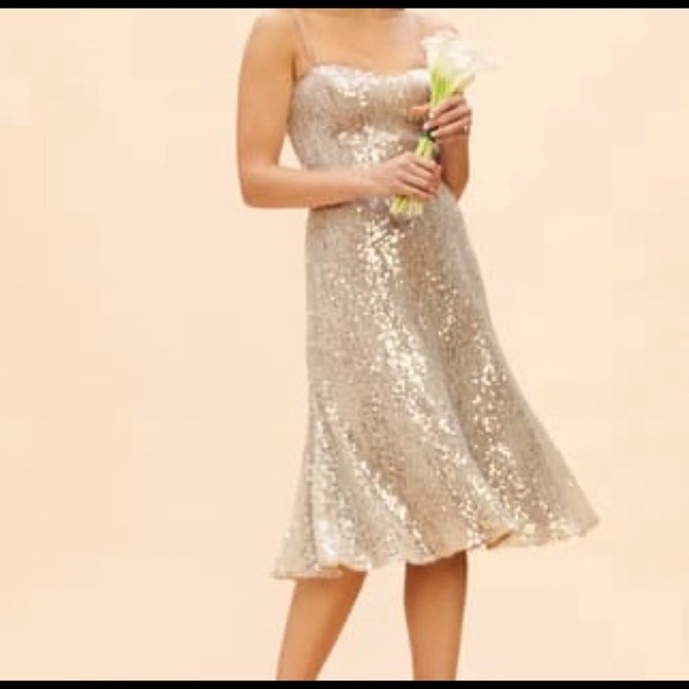 NWT Dress the Population Fit & Flare Dress - M